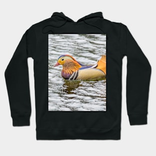 Mandarin Duck Hoodie